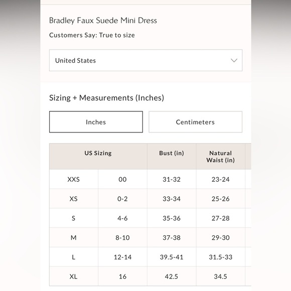 #35 NWT Free People Bradley Faux Suede Mini Dress in Deeper Iris - Picture 6 of 6